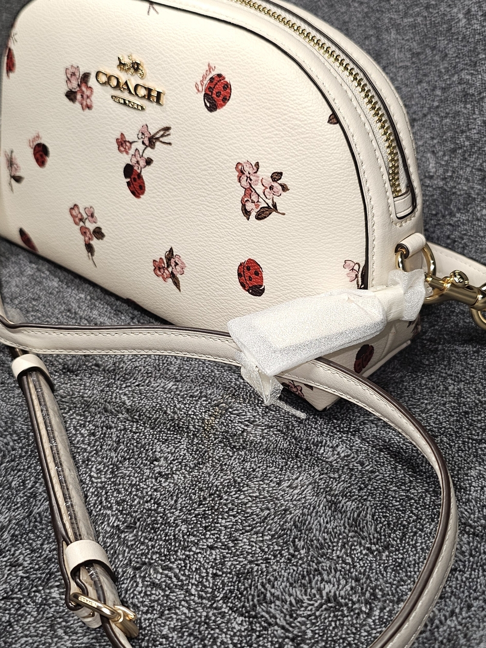 Coach White Floral & Ladybug Crossbody Bag - Picture 4 of 15